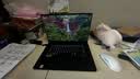 华硕ProArt创16 2026 AI全能笔记本电脑 锐龙AI 9 H 465 RTX5070 64G 2T 2.8K 触控OLED 实拍图