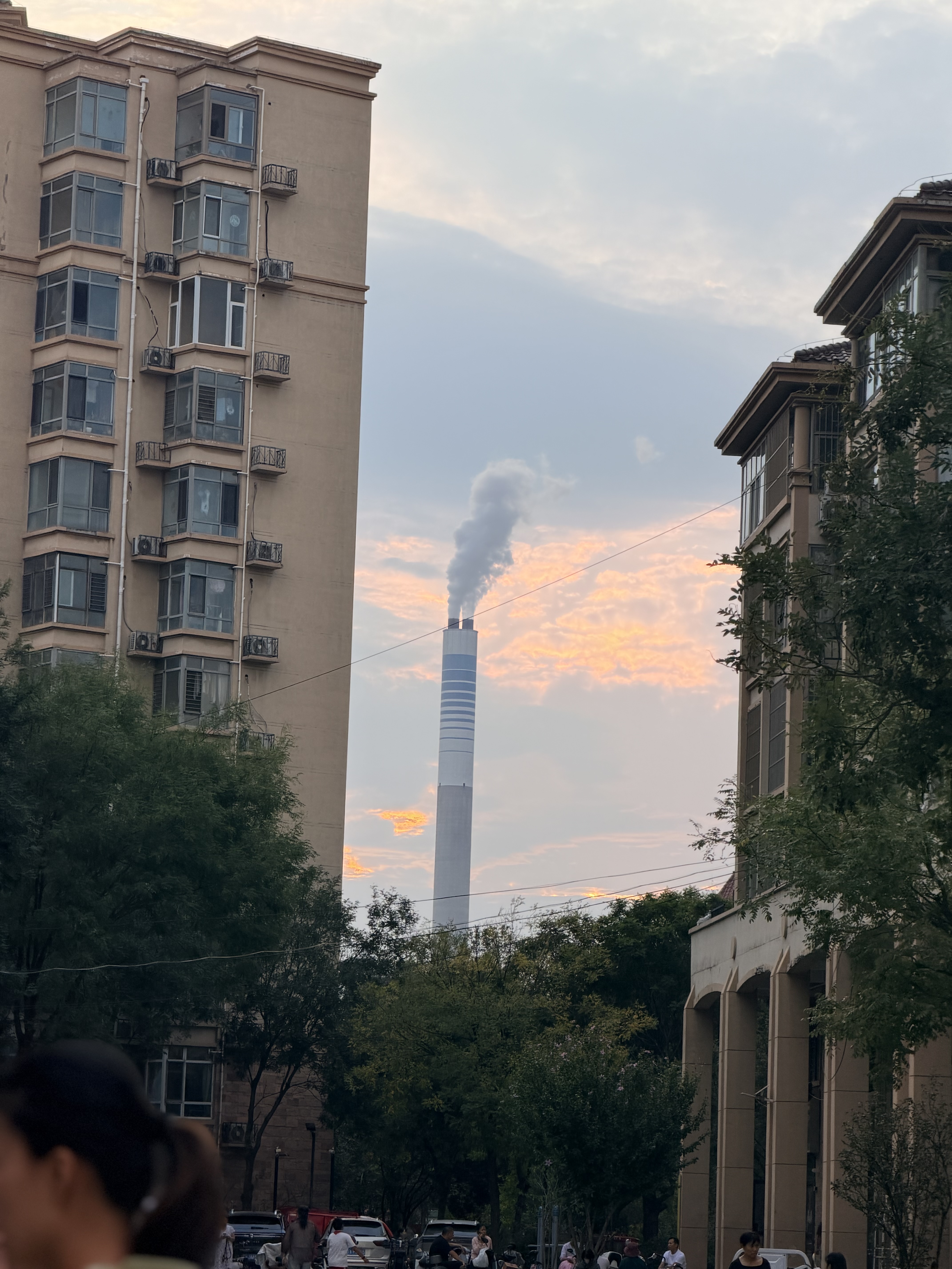 蒂洛薇【官方正品】3.0保湿肽水光粉膏持妆遮瑕控油粉底液干皮自然色10g 实拍图