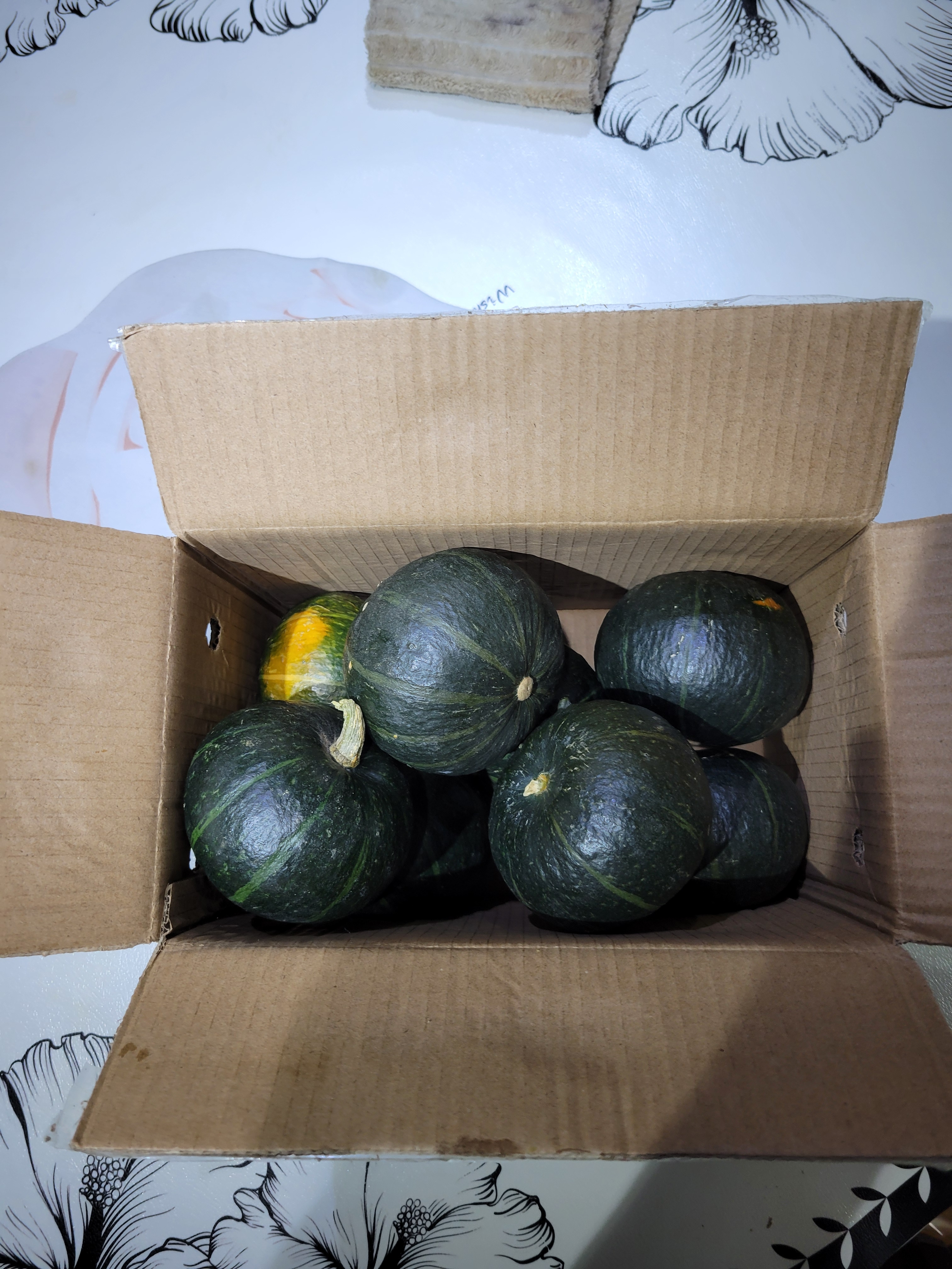 京鲜生内蒙沙漠贝贝南瓜 净5斤(粉糯瓜) 中果300g+辅食 源头直发 实拍图
