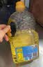 多力经典葵花籽油1.8L 一级压榨家用食用油 实拍图