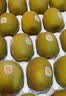 佳沛（zespri）新西兰金奇异果18粒超大原箱175-204g猕猴桃中秋节礼品送水果礼盒 实拍图