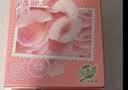 蒙牛真果粒白桃树莓味牛奶饮品240g×10盒 龚俊同款 中秋送礼礼盒 实拍图