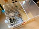 蔻丝全景兔笼子家用大空间带厕所荷兰猪豚鼠侏儒兔少越狱京东自营 实拍图