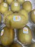 佳沛（zespri）新西兰金奇异果22粒巨大原箱146-175g猕猴桃中秋节礼品送水果礼盒 实拍图