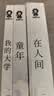 高尔基成长三部曲（童年、在人间、我的大学） 小说 实拍图