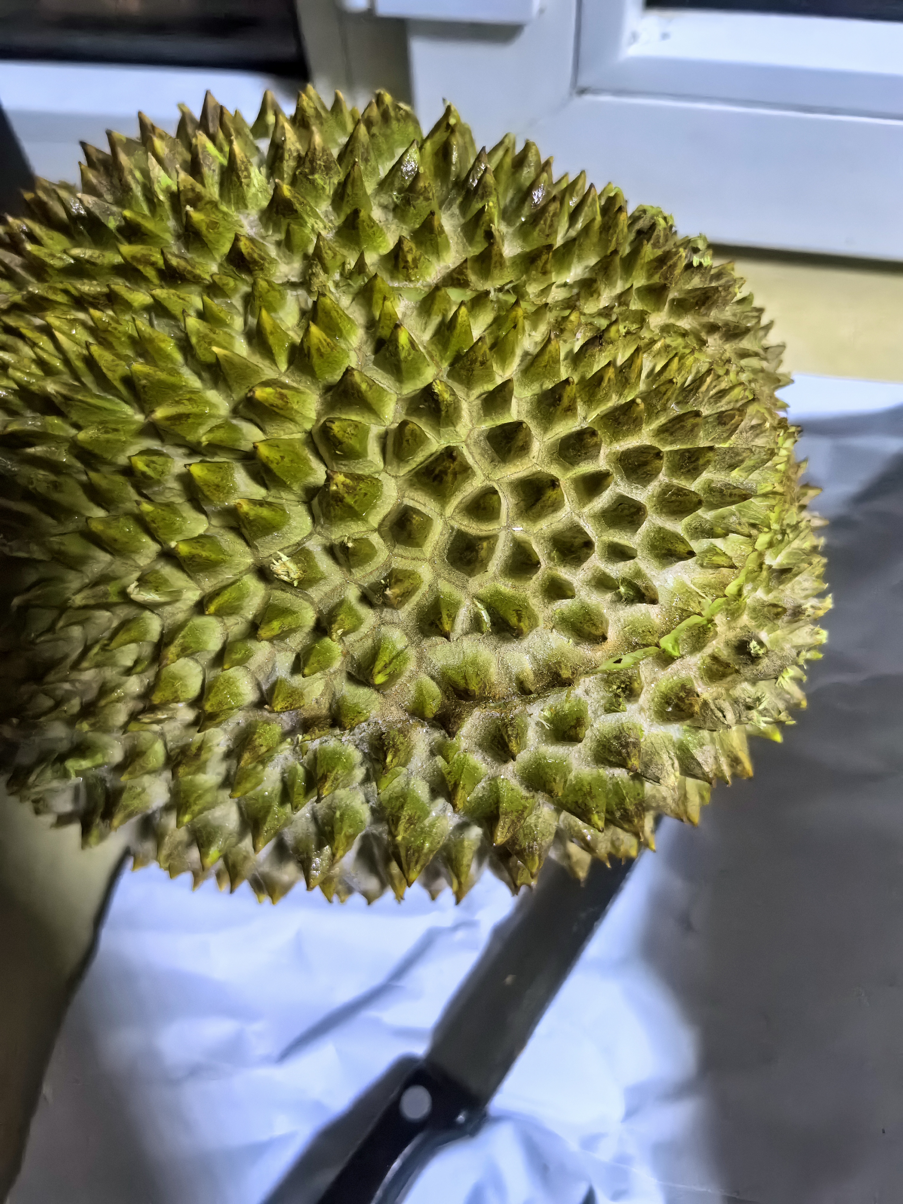京鲜生马来西亚D197猫山王榴莲3-3.5斤保4房树熟液氮锁鲜水果礼盒中秋品 实拍图