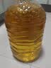 多力【保真菜籽油】芥花油5L 非转基因食用油粮油植物油 实拍图