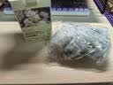 亮佰净衣柜防霉防虫防潮除味驱虫香薰包樟脑丸除臭除螨持久留香栀子花香 实拍图