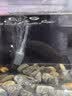 松宝（sobo）鱼缸氧气泵养鱼增氧机充氧泵家用小型制氧机氧气机鱼用充氧器低音 【升级更静 气量可调】双孔3.5W+气石套餐 实拍图