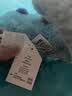 Jellycat天空龙动物毛绒玩具玩偶柔软陪伴娃娃送礼生日新婚礼物 天空龙 Large 实拍图
