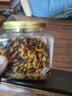 茶半春昆仑雪菊 新疆天山雪菊花茶高山海拔胎菊血菊米花草茶茶叶罐装75g 实拍图