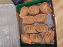 佳沛（zespri）新西兰金奇异果10粒巨大果146-175g猕猴桃中秋节礼品送水果礼盒 实拍图