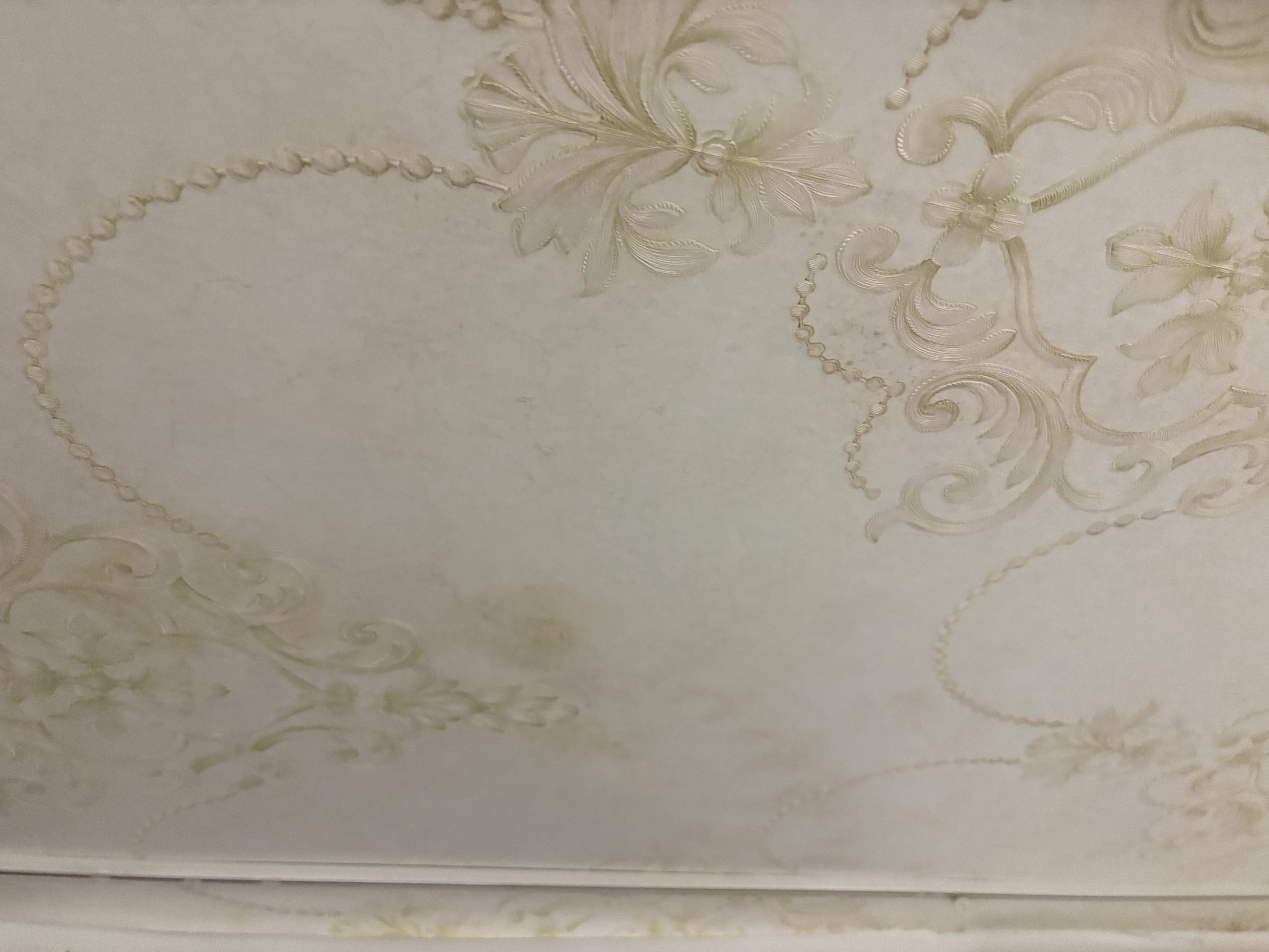 净迈嘉墙布除霉剂去霉斑壁布壁纸墙面除霉菌墙纸发霉清除剂专用修复神器 实拍图