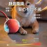 HELLOJOY狗狗玩具耐咬球自动逗狗神器自嗨解闷宠物电动小狗智能弹力遛狗球 实拍图