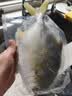 翔泰海南深海金鲳鱼700g  2条火锅生鲜鱼类BAP认证 中秋佳节海鲜水产 实拍图