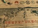 京鲜生&聚怀斋焦作温县沙土铁棍山药净重6斤(盒长60/70公分)地标礼盒 实拍图