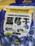 三只松鼠每日蓝莓干500g 蜜饯果干酸甜休闲零食下午茶孕妇儿童健康零食 实拍图