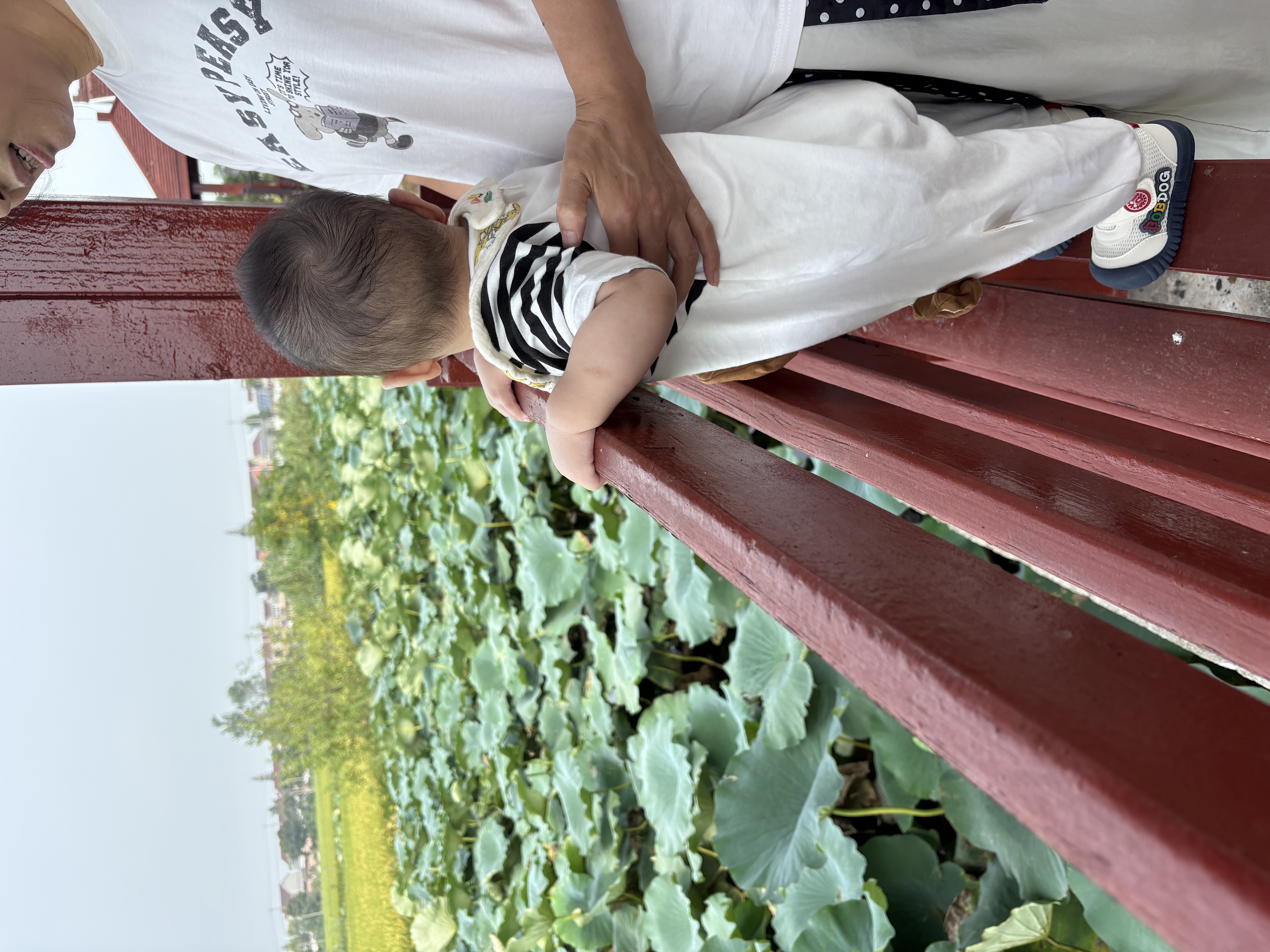 戴维贝拉（DAVE＆BELLA）儿童毛衣针织衫2026秋季新款童装男童刺绣洋气外套男宝宝可爱开衫 黄色【现货】 90 cm（建议身高80-90cm） 实拍图