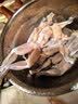 中洋鱼天下四去牛蛙净重700g（3-7只）整只干锅香辣烧烤活蛙现杀 实拍图