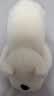 babycare婴儿安抚枕头宝宝安抚多功能睡觉抱枕透气枕头卡通西高地-0-1岁 实拍图
