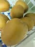 佳沛（zespri）新西兰金奇异果15粒巨大果146-175g猕猴桃中秋节礼品送水果礼盒 实拍图