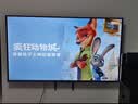 东芝电视Z500QF-R 55英寸 Mini LED控光 144Hz 3+64GB 火箭炮音响 4K超清 家电国家补贴 实拍图