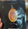 JMsolution肌司研莹润蜂胶面膜补水润肤滋养呵护满满30ml精华jm面膜 实拍图