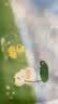 全棉时代儿童浴巾纯棉透气纱布浴巾新生婴儿宝宝洗澡大毛巾小鸭子95*95cm 实拍图