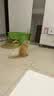 甜浪海金属猫砂铲非不锈钢猫屎铲细孔小孔猫咪铲屎神器猫砂盆铲宠物用品 实拍图