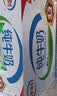 伊利【新鲜日期】纯牛奶250ml*21盒 3.3g优质乳蛋白早餐奶8-10月产 实拍图