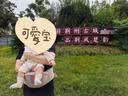 bebebus气垫腰凳婴儿背带抱娃神器轻薄透气沙驼金减压背带遛娃神器 实拍图