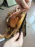 格兰仕（Galanz）变频微蒸烤炸一体机 家用台式不锈钢内胆平板微波炉电烤箱蒸烤箱空气炸锅白宝箱系列RW 实拍图