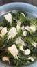 【高原夏菜】供港基地奶白菜300g(鹤斗白) 实拍图