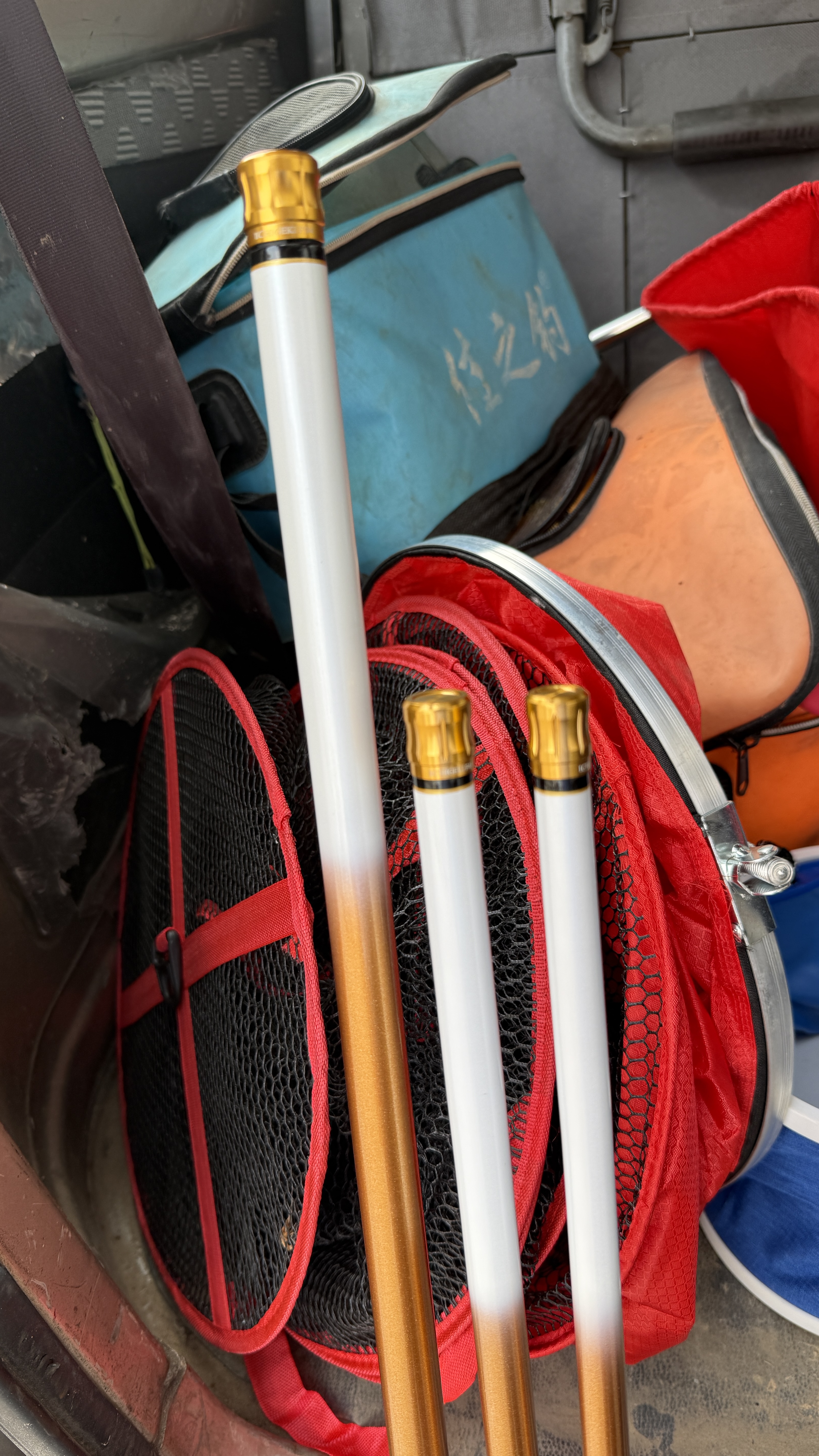 达亿瓦（DAIWA）一击 轻量鲤鱼鲫鱼草鱼罗非 进口鱼竿手杆 轻硬挺 休闲台钓 5.4m 一击F 54.K（综合）【野钓主力，全水域通杀】 不支持使用/试用后退换货 实拍图