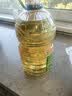 西王 食用油 玉米胚芽油 5L 非转基因物理压榨（新老包装交替发货） 实拍图