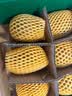 佳沛（zespri）绿奇异果经典果6粒89-103g猕猴桃源头直发中秋节礼品送水果礼盒 实拍图