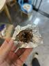 费列罗巧克力48粒600g 榛果威化 糖果 休闲零食 喜糖 中秋节礼物 实拍图