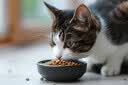 台派猫粮营养均衡成猫专用蓝猫布偶英短通用型鱼肉味猫干粮5kg 实拍图
