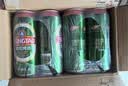 青岛啤酒（TsingTao）经典拉格 浓郁麦香500ml*24罐 整箱装 实拍图