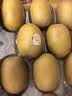 佳沛（zespri）新西兰金奇异果22粒巨大原箱146-175g猕猴桃中秋节礼品送水果礼盒 实拍图