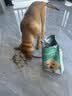 凯锐思银爪C27 幼犬专用狗粮 助益免疫羊乳姜黄鲜肉冻干双拼狗粮6kg 实拍图
