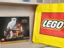 乐高（LEGO）积木哈利波特76466 哈利波特与魔法石男女孩玩具生日礼物赠礼袋 实拍图