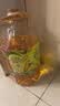 金龙鱼 食用油 非转基因 物理压榨玉米油6.18L（蕴含植物甾醇） 实拍图