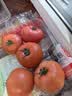 【水果菜】童年味道西红柿约1kg 实拍图