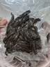 佳帮手真空封口机全自动食品抽真空包装机大吸力食品腊肠肉保鲜食品塑封机 实拍图