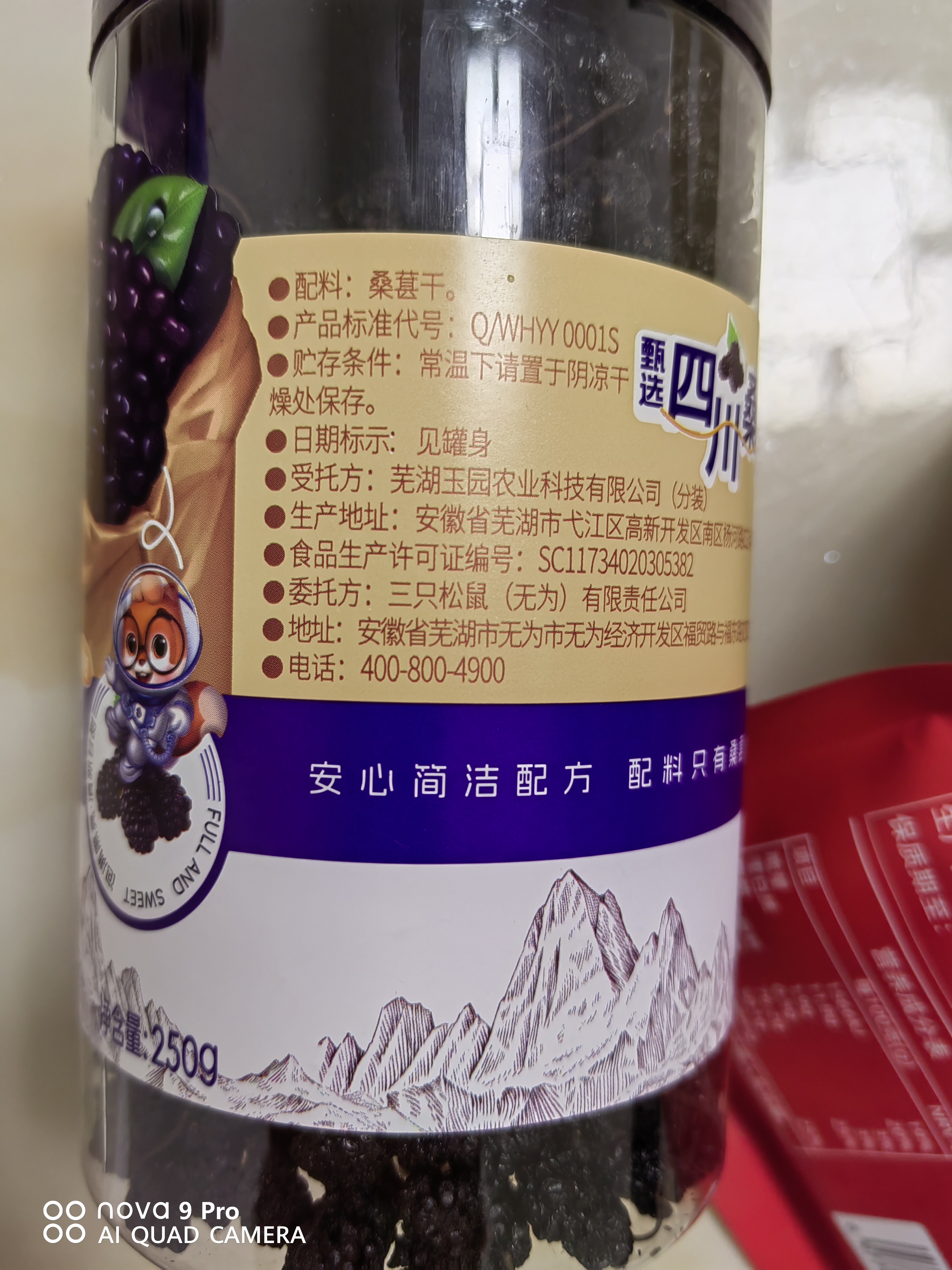 三只松鼠桑葚干250g/罐 无添加黑桑葚即食泡水蜜饯果干办公室休闲零食 实拍图