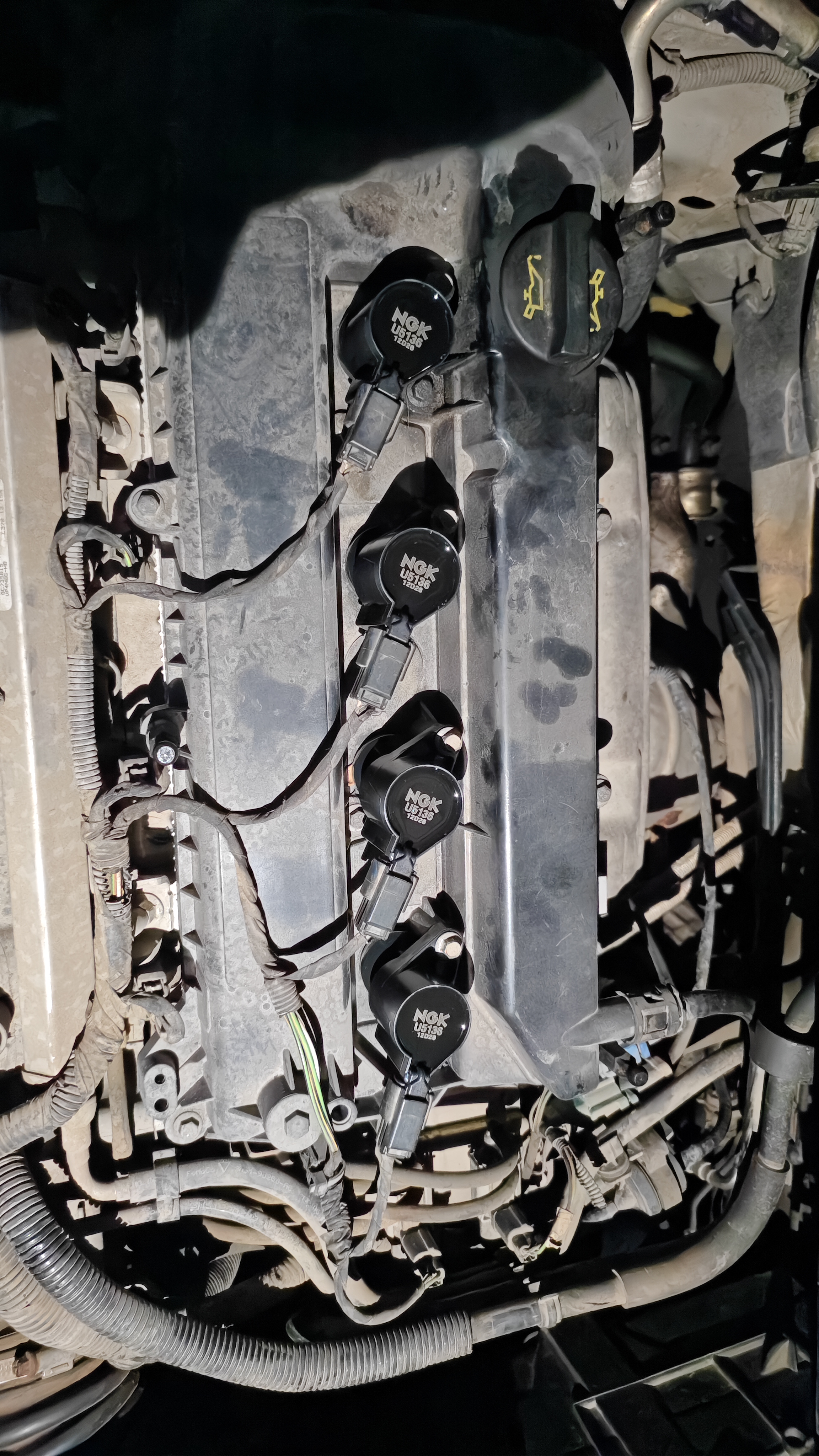 NGK点火线圈U5136单支装福克斯蒙迪欧致胜新世代全顺沃尔沃C30S40 实拍图