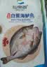 仙泉湖冷冻三去白蕉海鲈鱼700g/袋(2条装)肉厚刺少水产生鲜食材 实拍图