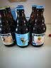 白熊白啤接骨木舒弗 组合装比利时风味精酿啤酒330ml*6瓶 实拍图