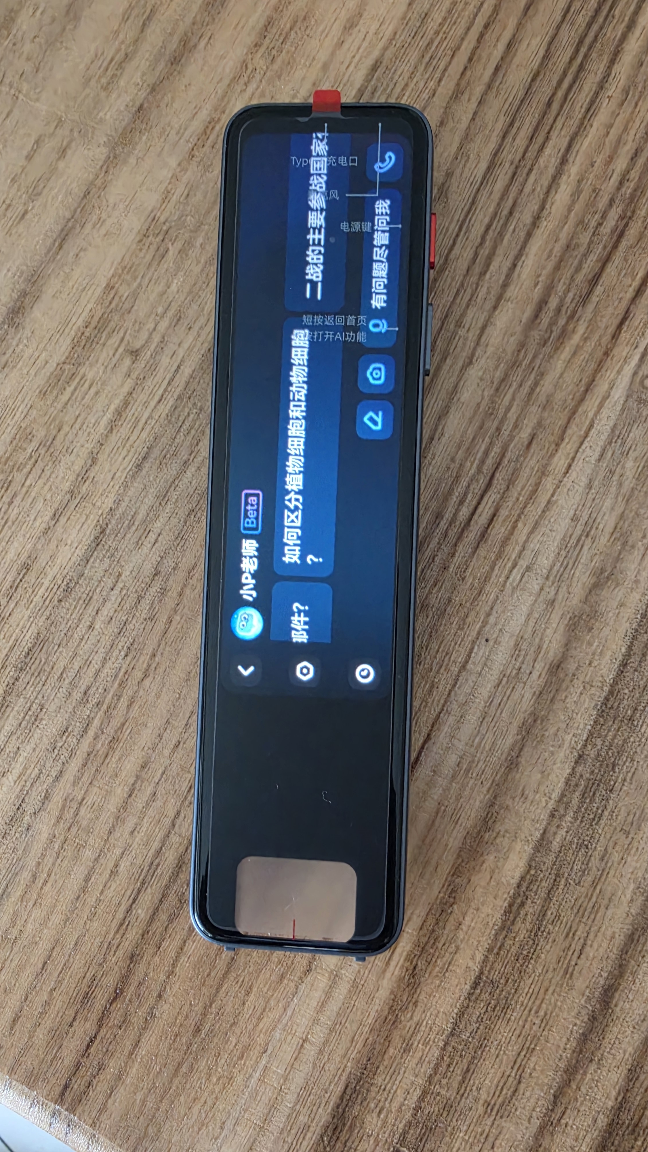 有道词典笔X8Pro X7pro升级英语点读笔翻译笔 小学初中高中同步全科家教小P老师学习机电子词典单词机 实拍图